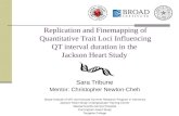 Replication and Finemapping of Quantitative Trait Loci Influencing QT interval duration in the Jackson Heart Study Sara Tribune Mentor: Christopher Newton-Cheh.
