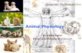 Animal Physiology Dr. Kashif Asghar