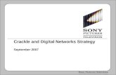 Crackle and Digital Networks Strategy September 2007.