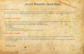 For Official Use Only Juno Beach Jackdaw This Jackdaw has been created for use by teachers to introduce Juno Beach and the D-Day Landings of June 6,1944.