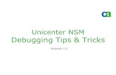 Unicenter NSM Debugging Tips & Tricks -Release r11.