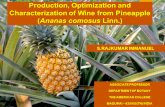 Production, Optimization and Characterization of Wine from Pineapple (Ananas comosus Linn.) ASSOCIATE PROFESSOR DEPARTMENT OF BOTANY THE AMERICAN COLLEGE.