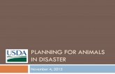 PLANNING FOR ANIMALS IN DISASTER November 4, 2015.