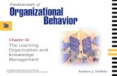 The Learning Organization and Knowledge Management