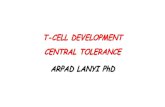T-CELL DEVELOPMENT CENTRAL TOLERANCE