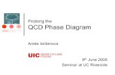 9 th June 2008 Seminar at UC Riverside Probing the QCD Phase Diagram Aneta Iordanova.