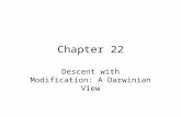 Chapter 22 Descent with Modification: A Darwinian View.
