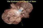 The Evolution and Death of Stars. Stars spend most of their life cycles on the Main Sequence Main Sequence stars are in hydrostatic equilibrium because.