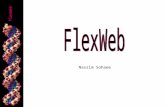 FlexWeb Nassim Sohaee. FlexWeb 2 Proteins The ability of proteins to change their conformation is important to their function as biological machines.