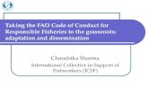 Taking the FAO Code of Conduct for Responsible Fisheries to the grassroots: adaptation and dissemination Chandrika Sharma International Collective in Support.