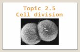 2.5.1 Cell Cycle 2.5.2 Uncontrolled cell division: tumour cells The cell division cycle is regulated in a number of ways. Certain agents can damage these.