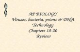 AP BIOLOGY Viruses, bacteria, prions & DNA Technology Chapters 18-20 Review.
