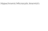 Hypochromic Microcytic Anemia's
