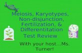 With your host…Ms. Turner! Meiosis, Karyotypes, Non- disjunction, Fertilization, & Differentitation Test Review.
