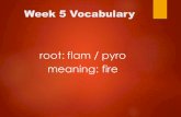 Week 5 Vocabulary root: flam / pyro meaning: fire.
