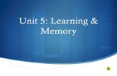 Unit 5: Learning & Memory. Types of Memory  Memory is the process by which we REMEMBER past experiences, information, and skills learned in the PAST.