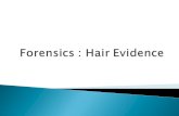One of the most common evidence is hair evidence.  Helpful in demonstrating physical contact with a suspect  Until recently, the comparison microscope.