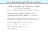 Mass Coordinate WRF Dynamical Core - Eulerian geometric height coordinate (z) core (in framework, parallel, tested in idealized, NWP applications) - Eulerian.