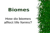 Biomes How do biomes affect life forms?. Biomes: