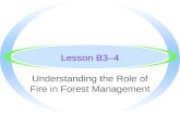 Understanding the Role of Fire in Forest Management