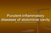 Purulent-inflammatory diseases of abdominal cavity Ass. Prof. Dr