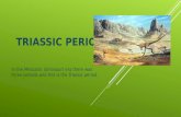 TRIASSIC PERIOD In the Mesozoic (dinosaur) era there was three periods and this is the Triassic period.