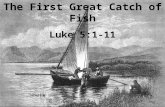 The First Great Catch of Fish