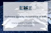 EMI INFSO-RI-261611 Software Quality Assurance in EMI Maria Alandes Pradillo (CERN) SA2.2 Task Leader.