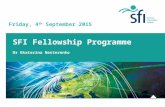 SFI Fellowship Programme Dr Ekaterina Nesterenko Friday, 4 th September 2015.
