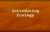 Introducing Ecology.