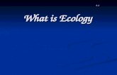 What is Ecology 3-1. Ecology Ecology is the study of interactions among organisms and between organisms and their environment Ecology is the study of.