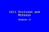 Cell Division and Mitosis Chapter 11. Reproduction Parents cells produce a new generation of cells or multicelled individuals like themselves Parents.