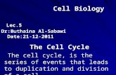 Cell Biology Lec.5 Dr:Buthaina Al-Sabawi Date:21-12-2011 Cell Biology Lec.5 Dr:Buthaina Al-Sabawi Date:21-12-2011 The Cell Cycle The cell cycle, is the.