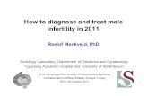 How to diagnose and treat male infertility in 2011 Roelof Menkveld, PhD Andrology Laboratory, Department of Obstetrics and Gynaecology, Tygerberg Academic.