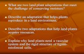 What are two land plant adaptations that meet the challenge of conserving moisture? What are two land plant adaptations that meet the challenge of conserving.