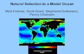 Natural Selection in a Model Ocean