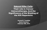 Natural Killer Cells: Their role in Cancer Immunotherapy, And the Significance of the Molding of the KIR Repertoire Jerome R. Trembley Senior Seminar February.