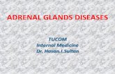 TUCOM Internal Medicine Dr. Hasan.I.Sultan ADRENAL GLANDS DISEASES TUCOM Internal Medicine Dr. Hasan.I.Sultan.