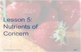Lesson 5: Nutrients of Concern Slide 1. Opening Questions Lesson 5: Nutrients of Concern Slide 2.