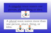 A singular noun names one person, place, thing or idea