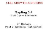 CELL GROWTH & DIVISION Sapling 3.4 Cell Cycle & Mitosis CP Biology Paul VI Catholic High School.