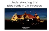 Understanding the Electronic PCR Process 1. The Electronic PCR process replaces the current paper process for creation and routing for signatures. Training.