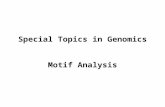 Special Topics in Genomics Motif Analysis. Sequence motif – a pattern of nucleotide or amino acid sequences GTATGTACTTACTATGGGTGGTCAACAAATCTATGTATGA TAACATGTGACTCCTATAACCTCTTTGGGTGGTACATGAA.