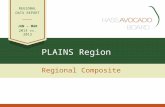 PLAINS Region Regional Composite REGIONAL DATA REPORT JAN – MAR 2014 vs. 2013.