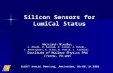 Silicon Sensors for LumiCal Status Wojciech Wierba, J. Błocki, W. Daniluk, E. Kielar, J. Kotuła, A. Moszczyński, K. Oliwa, B. Pawlik, L. Zawiejski Institute.