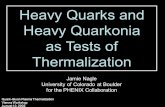 1 Heavy Quarks and Heavy Quarkonia as Tests of Thermalization Jamie Nagle University of Colorado at Boulder for the PHENIX Collaboration Quark-Gluon Plasma.