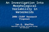 An Investigation Into Morphological Variability in Watermolds 2006 CSURF Research Proposal Ian G. Sheffer Department of Biology and Marine Biology UNC.