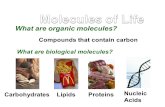 What are organic molecules? What are biological molecules? Compounds that contain carbon CarbohydratesLipidsProteins Nucleic Acids.