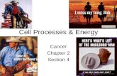 Cell Processes & Energy Cancer Chapter 2 Section 4.