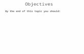 By the end of this topic you should: Objectives. Levers.